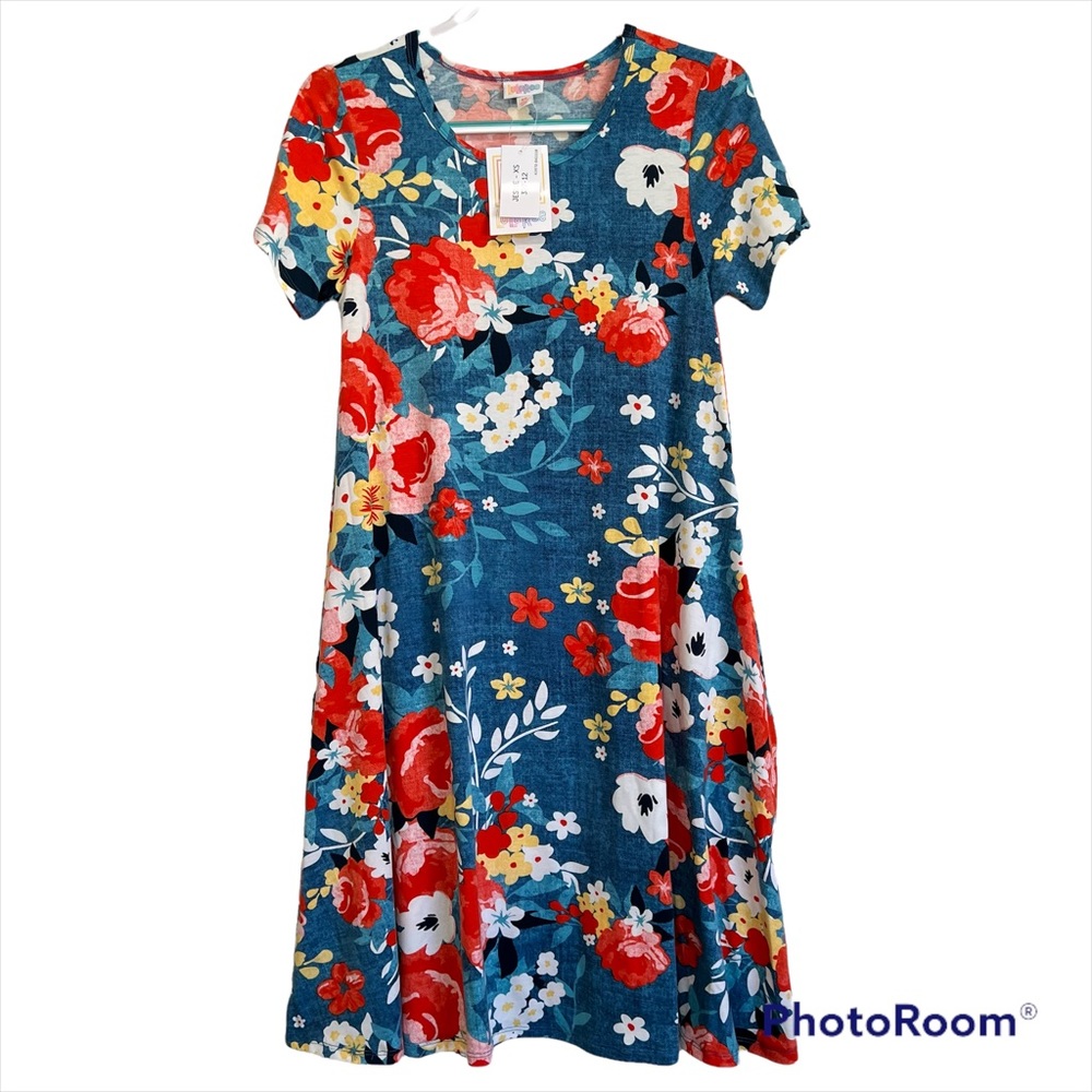 Size XS (2-4) - Lularoe Jessie- GORGEOUS Colorful Floral Dress!